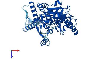 MOGAT1 Protein (AA 1-335) (His tag)