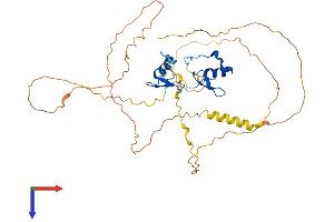 GATA1 Protein (AA 1-413) (His tag)