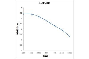 Antigen: 0. (e3F (AA 112-210) Antikörper)