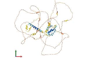 Protein Structure (PS) image for Praja Ring Finger 1, E3 Ubiquitin Protein Ligase (PJA1) (AA 1-643) protein (His tag) (ABIN7550849)