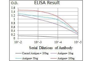 Black line: Control Antigen (100 ng), Purple line: Antigen(10 ng), Blue line: Antigen (50 ng), Red line: Antigen (100 ng), (SPIB Antikörper  (AA 200-252))