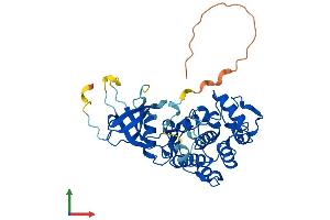 Protein Structure (PS) image for Cyclin-Dependent Kinase 9 (CDK9) (AA 1-372) protein (His tag) (ABIN7553403)