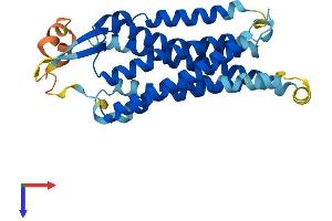 GNRHR Protein (AA 1-327) (His tag)