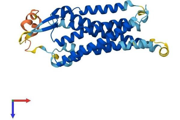 GNRHR Protein (AA 1-327) (His tag)