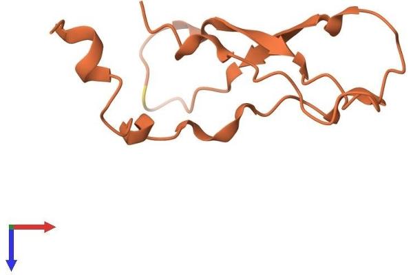 SPRR2A Protein (AA 1-83) (Fc Tag)