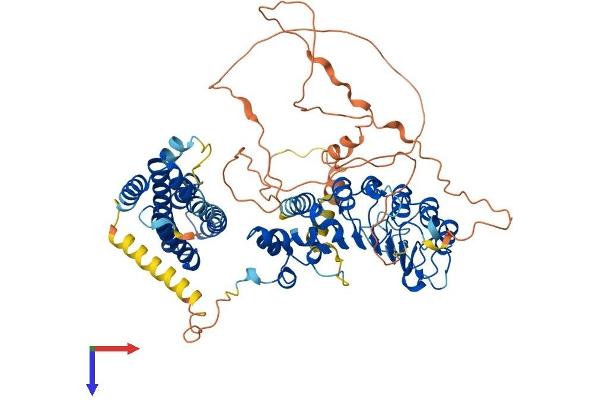 FBXL5 Protein (AA 1-690) (His tag)