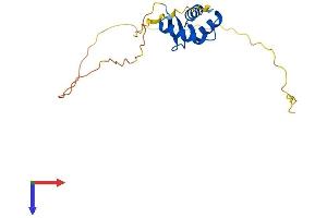 Histone H1 Protein (AA 1-194) (His tag)