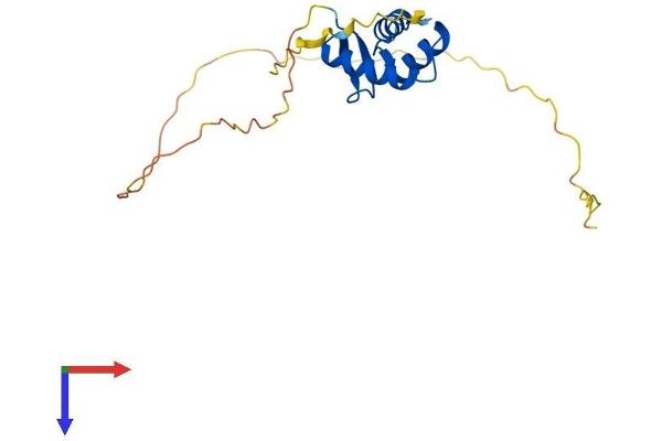 Histone H1 Protein (AA 1-194) (His tag)