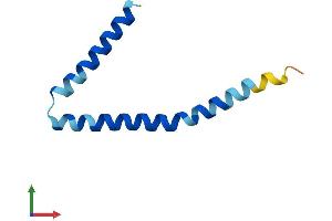 Protein Structure (PS) image for Serine Palmitoyltransferase, Small Subunit B (SPTSSB) (AA 1-76) protein (Fc Tag) (ABIN7560271)