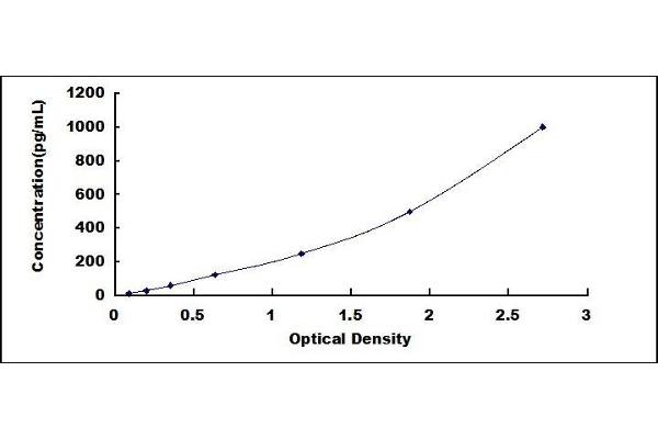 CD25 ELISA Kit