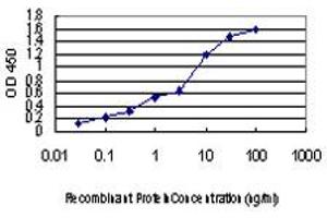 Detection limit for recombinant GST tagged LRP5 is approximately 0. (LRP5 Antikörper  (AA 41-130))