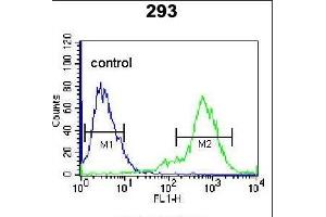 TIEG Antibody (Center) (ABIN655153 and ABIN2844772) flow cytometric analysis of 293 cells (right histogram) compared to a negative control cell (left histogram). (KLF10/TIEG1 Antikörper  (AA 198-225))