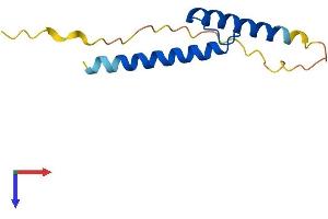 TAL2 Protein (AA 1-108) (His tag)