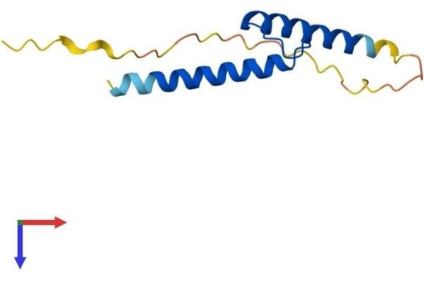 TAL2 Protein (AA 1-108) (His tag)