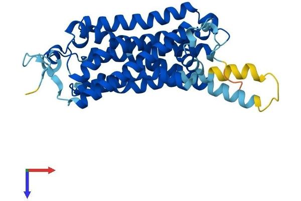 TAAR1 Protein (AA 1-339) (His tag)