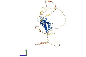 Protein Structure (PS) image for Transducer of ERBB2, 2 (TOB2) (AA 1-345) protein (His tag) (ABIN7561693)