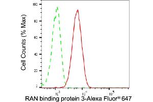 Flow cytometric analysis of RAN binding protein 3 expression in C2C12 cells using RAN binding protein 3 antibody (ABIN7800127), 1:2,000).