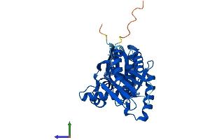 Protein Structure (PS) image for Ras-Related GTP Binding A (RRAGA) (AA 1-313) protein (His tag) (ABIN7558414)