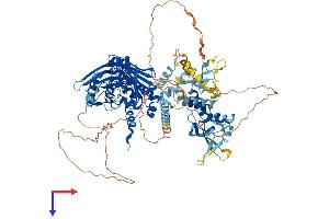 PMS1 Protein (AA 1-932) (His tag)