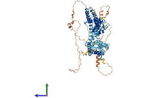 Protein Structure (PS) image for Potassium Voltage-Gated Channel, Shaw-Related Subfamily, Member 4 (KCNC4) (AA 1-628) protein (His tag) (ABIN7559661)