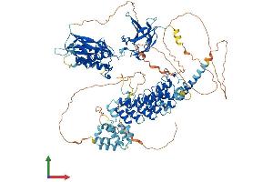 Protein Structure (PS) image for Nuclear Factor of kappa Light Polypeptide Gene Enhancer in B-Cells 1 (NFKB1) (AA 1-968) protein (His tag) (ABIN7554715)