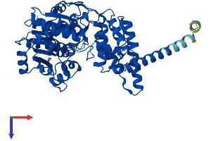 FAR1 Protein (AA 1-515) (His tag)
