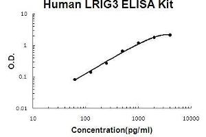 Human LRIG3 PicoKine ELISA Kit standard curve (LRIG3 ELISA Kit)