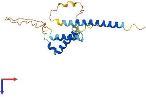 m1ip1 Protein (AA 1-182) (His tag)