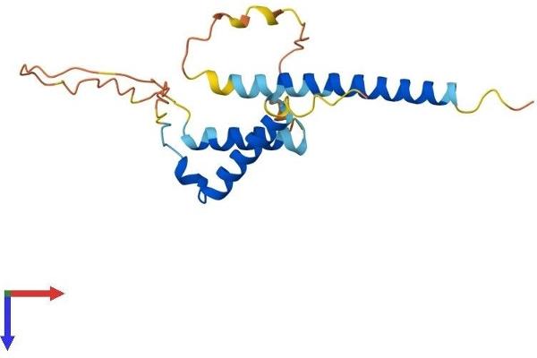 m1ip1 Protein (AA 1-182) (His tag)