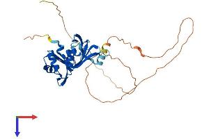 HNRNPA1 Protein (AA 1-320) (His tag)