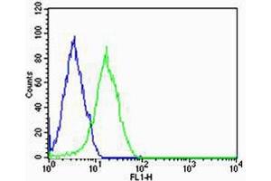 Flow cytometric analysis of HepG2 cells using Phospho-HUN-SHB. (SHB Antikörper  (AA 250-290))