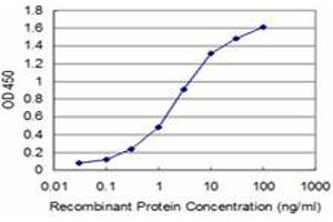 Detection limit for recombinant GST tagged BOLL is approximately 0. (BOLL Antikörper  (AA 185-283))
