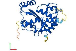 AlphaFold protein structure predicition of Mouse Recombinant Trex2 Protein, UniprotID Q9R1A9