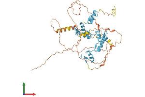 Protein Structure (PS) image for FEZ Family Zinc Finger 2 (FEZF2) (AA 1-455) protein (His tag) (ABIN7561480)