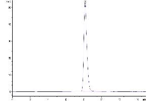 Size-exclusion chromatography-High Pressure Liquid Chromatography (SEC-HPLC) image for Leukocyte Immunoglobulin-Like Receptor, Subfamily B (With TM and ITIM Domains), Member 1 (LILRB1) (AA 24-458) protein (His-Avi Tag,Biotin) (ABIN7275186)