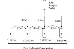 Image no. 2 for ToxinSensor Chromogenic LAL Endotoxin Assay Kit (ABIN491526) (ToxinSensor Chromogenic LAL Endotoxin Assay Kit)