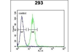 Flow Cytometry (FACS) image for anti-Potassium Voltage-Gated Channel, KQT-Like Subfamily, Member 1 (KCNQ1) (AA 513-540) antibody (ABIN652891)