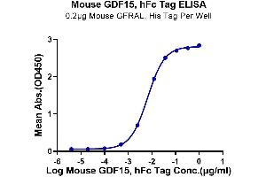 Immobilized Mouse GFRAL, His Tag at 2 μg/mL (100 μL/well) on the plate. (GDF15 Protein (AA 189-303) (Fc Tag))