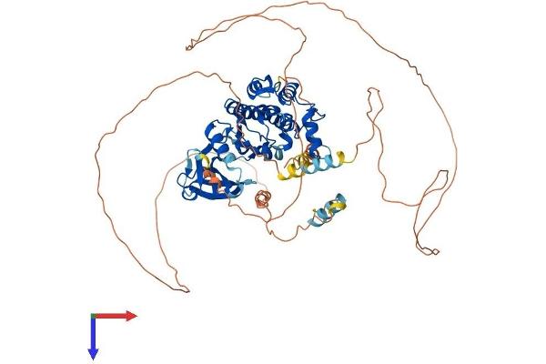 DCLK3 Protein (AA 1-648) (His tag)