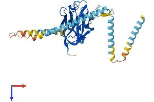SUN3 Protein (AA 1-320) (His tag)