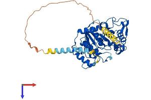 ST8SIA6 Protein (AA 1-398) (His tag)