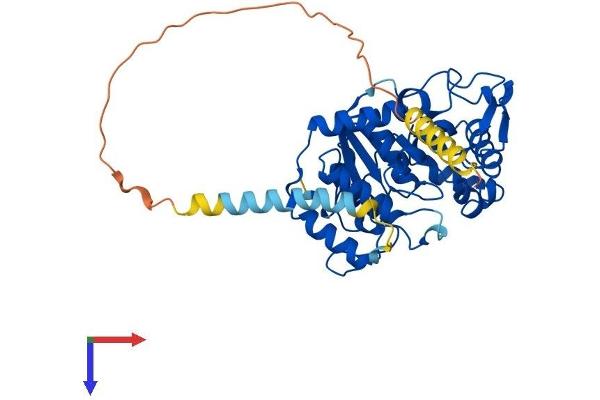 ST8SIA6 Protein (AA 1-398) (His tag)