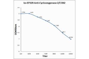 Antigen: 0. (PTGS2 Antikörper  (AA 501-604))
