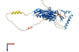 STOML1 Protein (AA 1-398) (His tag)