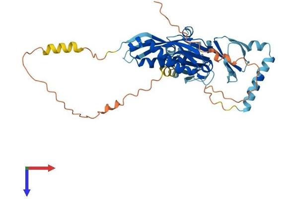 STOML1 Protein (AA 1-398) (His tag)