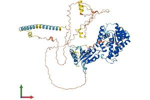 AlphaFold protein structure predicition of Human Recombinant YME1L1 Protein, UniprotID Q96TA2 (YME1L1 Protein (AA 1-773) (His tag))