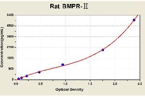 Diagramm of the ELISA kit to detect Rat BMPR-2with the optical density on the x-axis and the concentration on the y-axis.