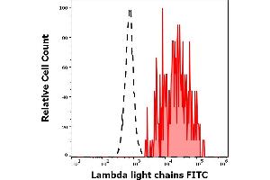 Separation of human Lambda Light Chain positive B cells (red-filled) from Lambda Light Chain negative CD3 negative lymphocytes (black-dashed) in flow cytometry analysis (surface staining) of human peripheral whole blood stained using anti-human Lambda Light Chain (1-155-2) FITC antibody (4 μL reagent / 100 μL of peripheral whole blood). (Lambda-IgLC Antikörper  (FITC))