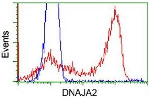 HEK293T cells transfected with either RC202204 overexpress plasmid (Red) or empty vector control plasmid (Blue) were immunostained by anti-DNAJA2 antibody (ABIN2452948), and then analyzed by flow cytometry. (DNAJA2 Antikörper)