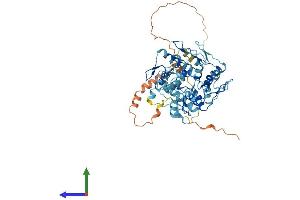 AlphaFold protein structure predicition of Human Recombinant ZNF26 Protein, UniprotID P17031 (ZNF26 Protein (AA 1-533) (His tag))